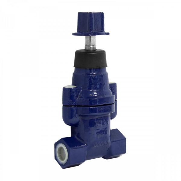 5143 Resilient Wedge Gate Valve Epdm Threaded Ends